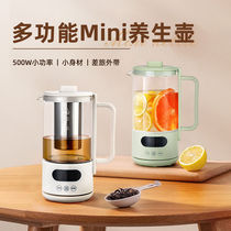 Health pot small mini Internet celebrity model small office multi-functional household tea boiler boiling water portable flower teapot