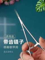 Stainless steel ingrown toenail removal pliers nail tweezers with fine tips personal cleaning and care nail groove cupping pedicure