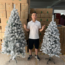 QGAR Christmas factory direct sales white snow flocked PVC1 5m 3m luxury home Christmas tree package bare tree