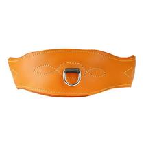 cavassion British girdle equestrian horse accessories color Rocky harness 8513101