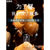 Conch meat ready-to-eat spicy small seafood extra large bag Yantai specialty seafood snacks for pregnant women seafood cooked food