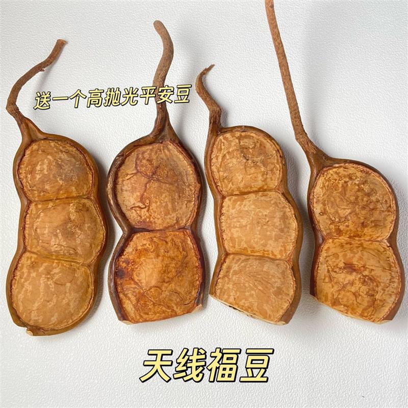 Decorative Soybean Pods, Handmade DIY Crafts, Cute and Quirky Soybean Pods Decorative Soybean Pods, Handmade DIY Crafts, Cute and Quirky Soybean Pods