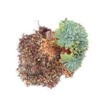 40 pounds of twenty-in-one 70% succulent soil special nutritionist large bag of pure granulated soil meat