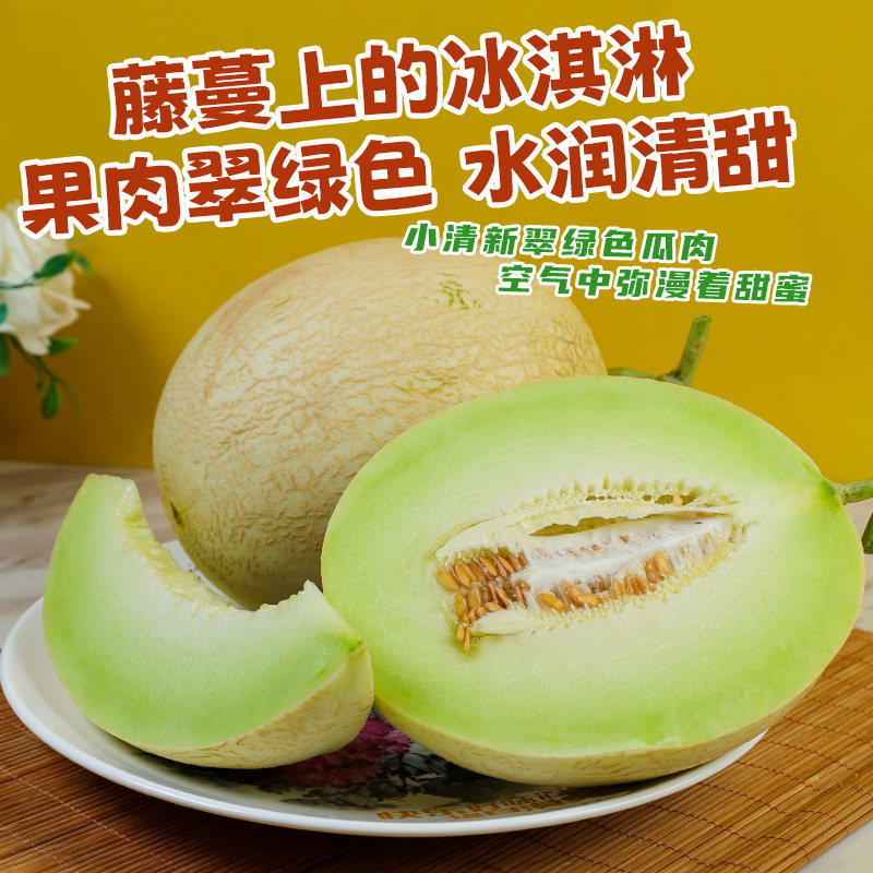 夏日甜蜜来袭！甘肃戈壁白兰瓜，沙漠中的冰淇淋蜜瓜，一口爆甜！🍉🌞-甜瓜-淘宝百科网
