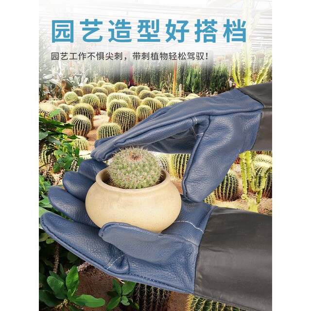 German Premium Imported Anti-Thorn Gloves, Leather Gardening Gloves, Wear-Resistant, for Picking Peppers, Roses, Cacti, Outdoor Floral Art