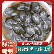 Raw pickled mud snails drunken mud snails ready-to-eat canned pickled yellow mud snails 280g canned fresh Ningbo Zhoushan original flavor