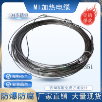 MI mineral insulated armored electric heating tape 380V single core armored high temperature resistant stainless steel metal heating wire