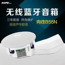 HOPE yearning for B55N fixed resistance coaxial wireless Bluetooth ceiling speaker B55 discontinued B44 and B30 are in stock
