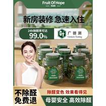 Hope fruit formaldehyde removal new house household formaldehyde remover artifact small green tree jar jelly activated carbon bag