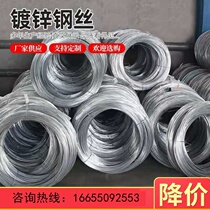 Hot-dip galvanized steel wire single grape trellis rust-proof kiwi fruit straightening corrosion-resistant passion fruit pull wire grape vine