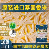 Thai fragrant rice official flagship store authentic original imported long grain fragrant rice 2024 new rice first-class cat tooth rice