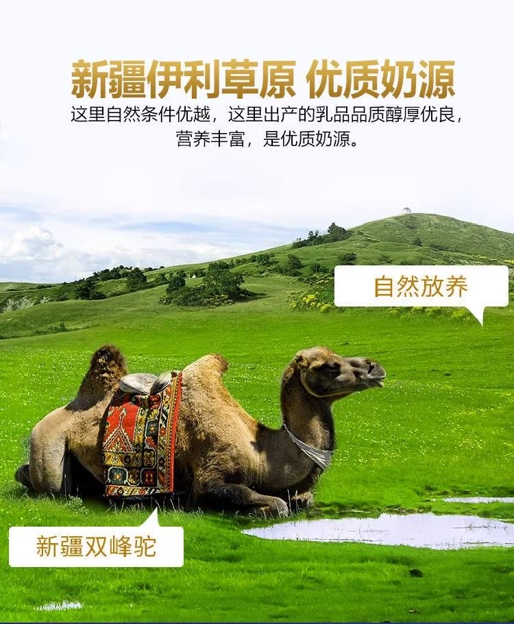 1742919630050 - 副本.png