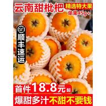 Loquat fresh large fruit 5 pounds Pipa fruit Yunnan big five-star loquat fresh fruit seasonal whole box SF Express