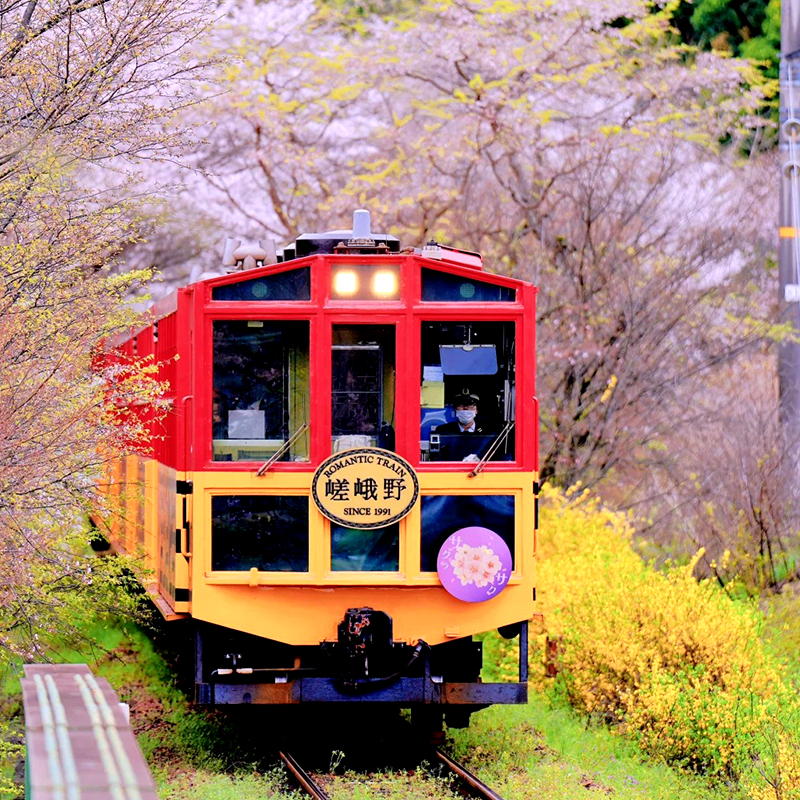 深入广西秘境：梧州纯玩团的魅力之旅
