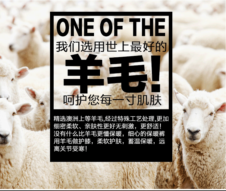 Pantalon collant Moyen-âge luxueux en cachemire - Ref 748212 Image 18