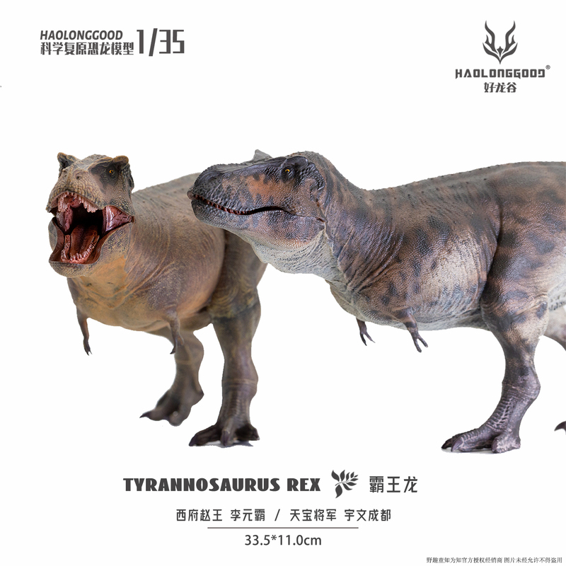 Haolong Valley [Tyrannosaurus Rex 1/35] Jurassic Dinosaur Model Figure Toy Gift