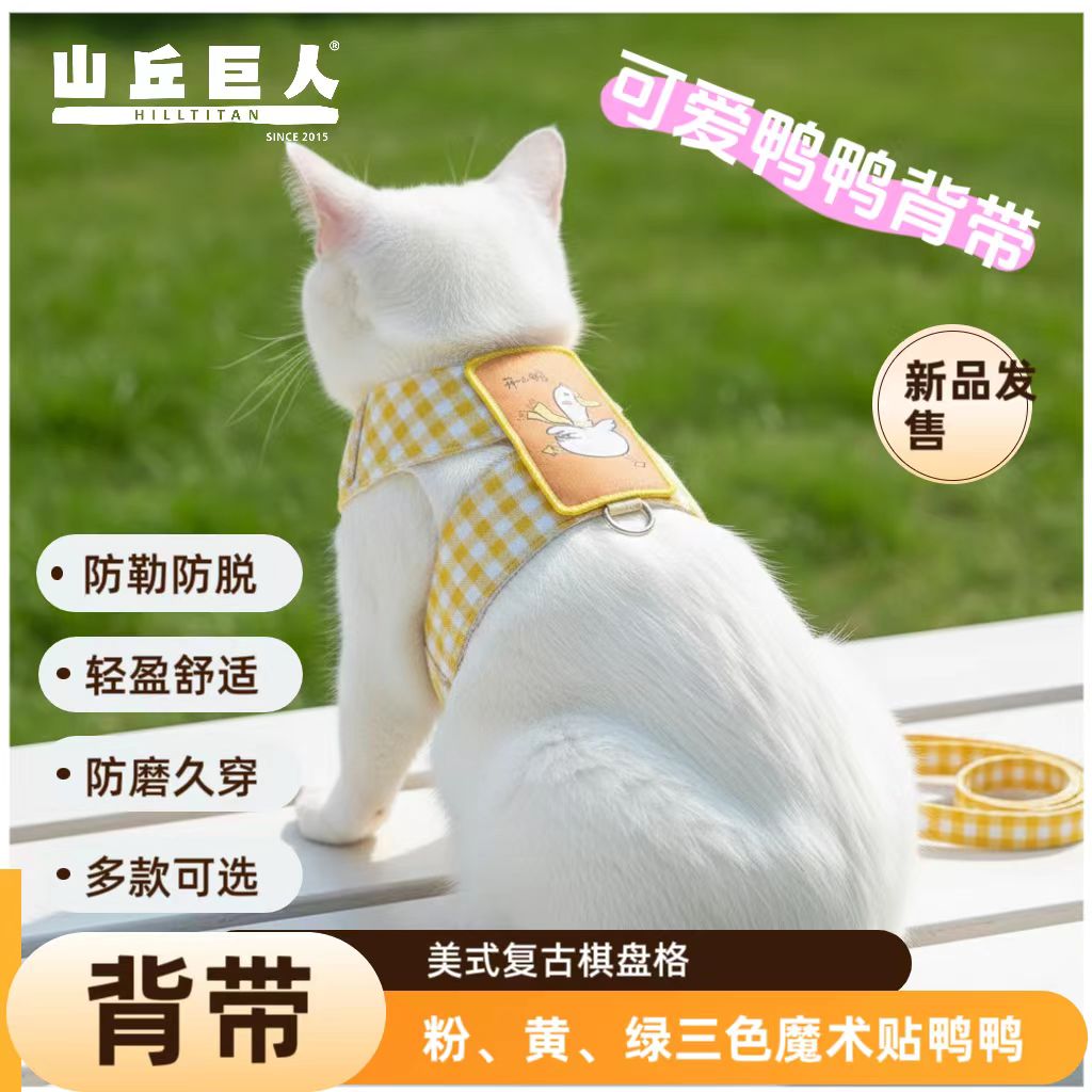 猫咪牵引绳：幼猫安全出游的秘密武器