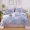 Tăng giường đơn giản bông một gia đình bốn 2m x2.3 bông chăn quilt 220x240 200x230 mùa xuân - Bộ đồ giường bốn mảnh