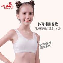 Xinfu Girl Underwear Student Cotton Bra Pure Cotton Childrens Developmental Vest Girls 10-14 Years Old Summer