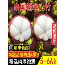 (In stock now) Mangosteen imported from Thailand net weight 5 jins fresh 5A6A large fruit pregnant women fruit shot 2 pieces 10 jins
