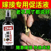 Plant wound healing agent grafting vitality promoting liquid fruit tree bonsai incision special healing agent grafting sealing spray