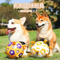Pet Toy Ball Dog Outdoor Toy Teeth Resistant Bite Making Sound Inflatable Football Pet Dog Training Cross-Border Wholesale