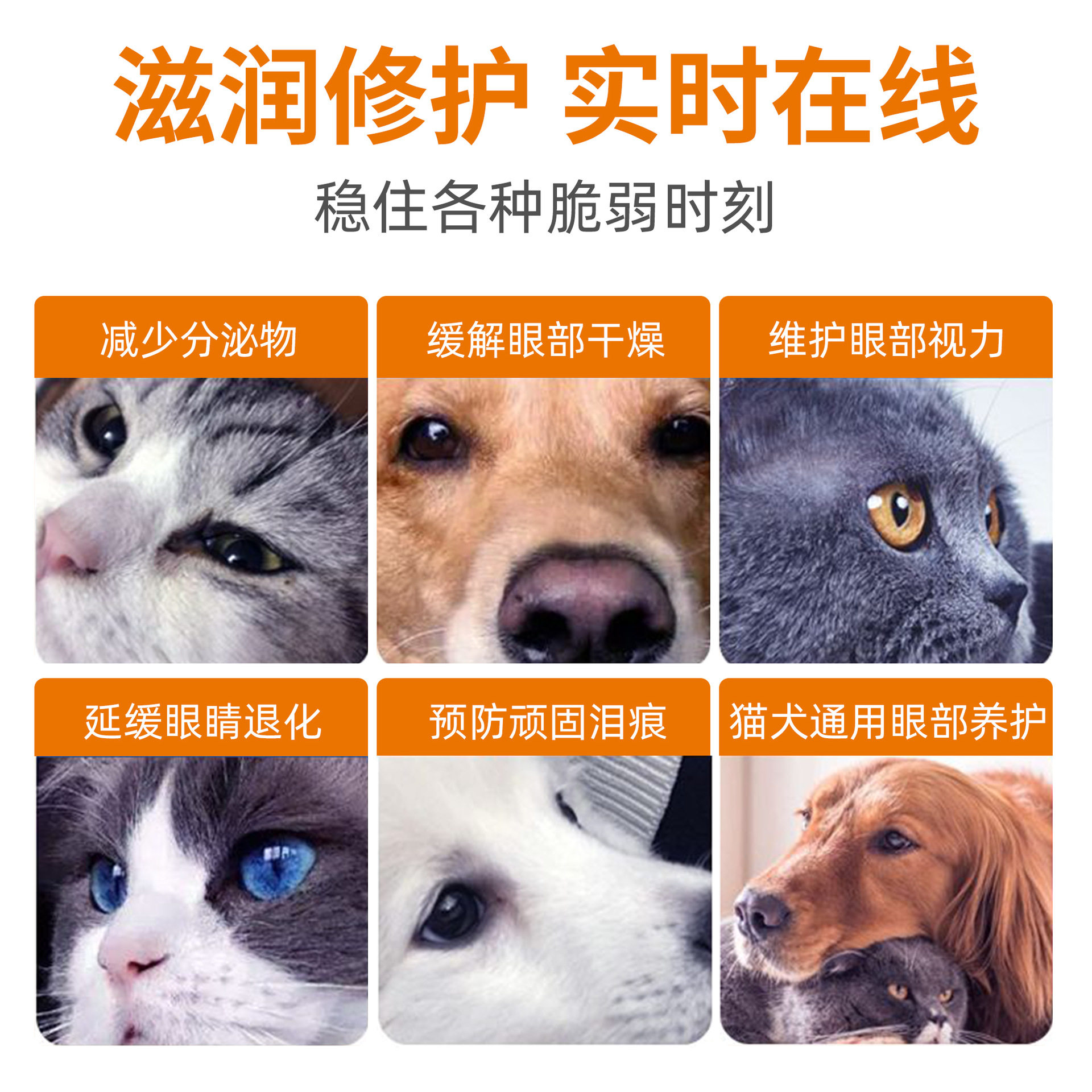 🐾 宠物泪痕解决方案:麦里治宠物泪痕眼药水 🌟-眼部清洁-淘宝好物网