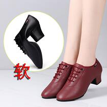 Dance shoes womens Latin dance shoes mid-heeled womens adult soft-soled low-heeled dance shoes indoor and outdoor