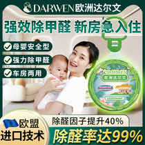 (Imported from Germany) Formaldehyde removal pendant formaldehyde removal net pendant for new house powerful household scavenger self-test box