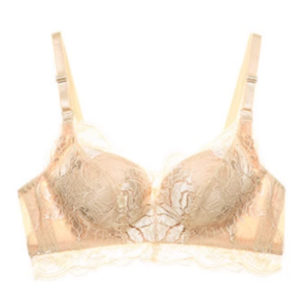 夏娃秘语蕾丝性感内衣女秋冬薄款少女聚拢侧收文胸女聚拢型胸罩