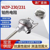 New platinum thermal resistance pt100wzp230 temperature sensor temperature rod armored thermocouple thermocouple platinum thermal