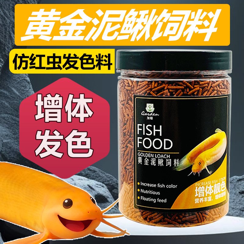 2026年想养一条高品相印尼红龙鱼，关键看哪些指标？