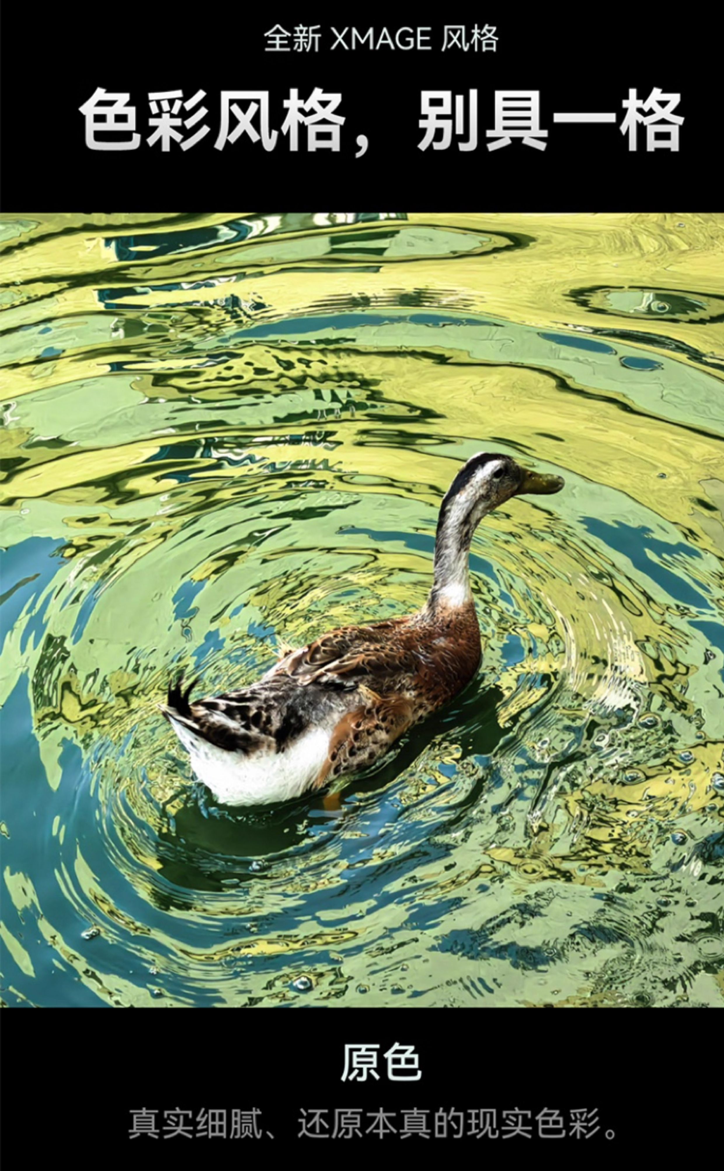 【宸音双11】HUAWEI Mate 70 Pro鸿蒙AI红枫原色影像超可靠玄武架构鸿蒙智能手机插图31