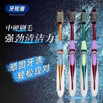 New hard-bristled toothbrush for adults and men ultra-hard and durable to remove tobacco stains tooth stains home decoration tooth yellow medium hard