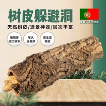 Portuguese cork crawling pet champagne tree hole maned lion avoids bark crawlers landscaping gecko jie horn tree frog background board