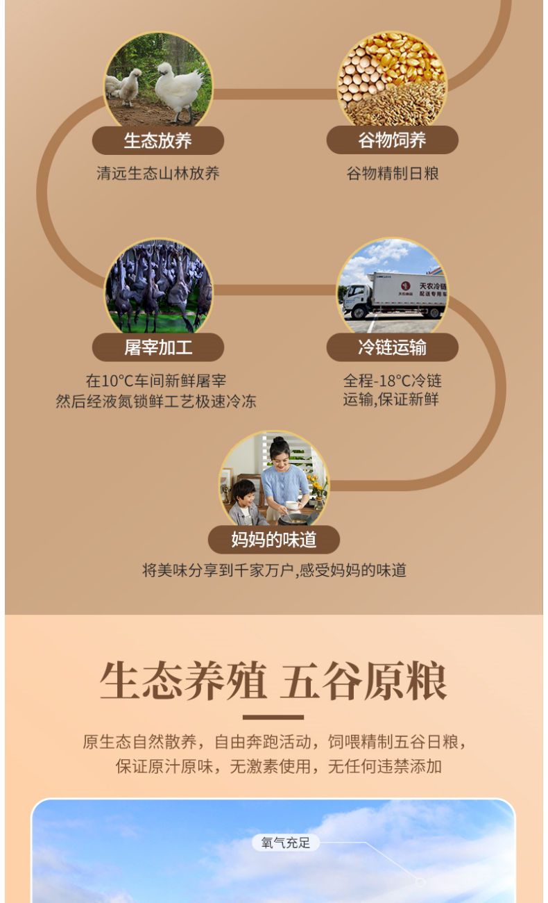 7-66cfed028d9d1.png
