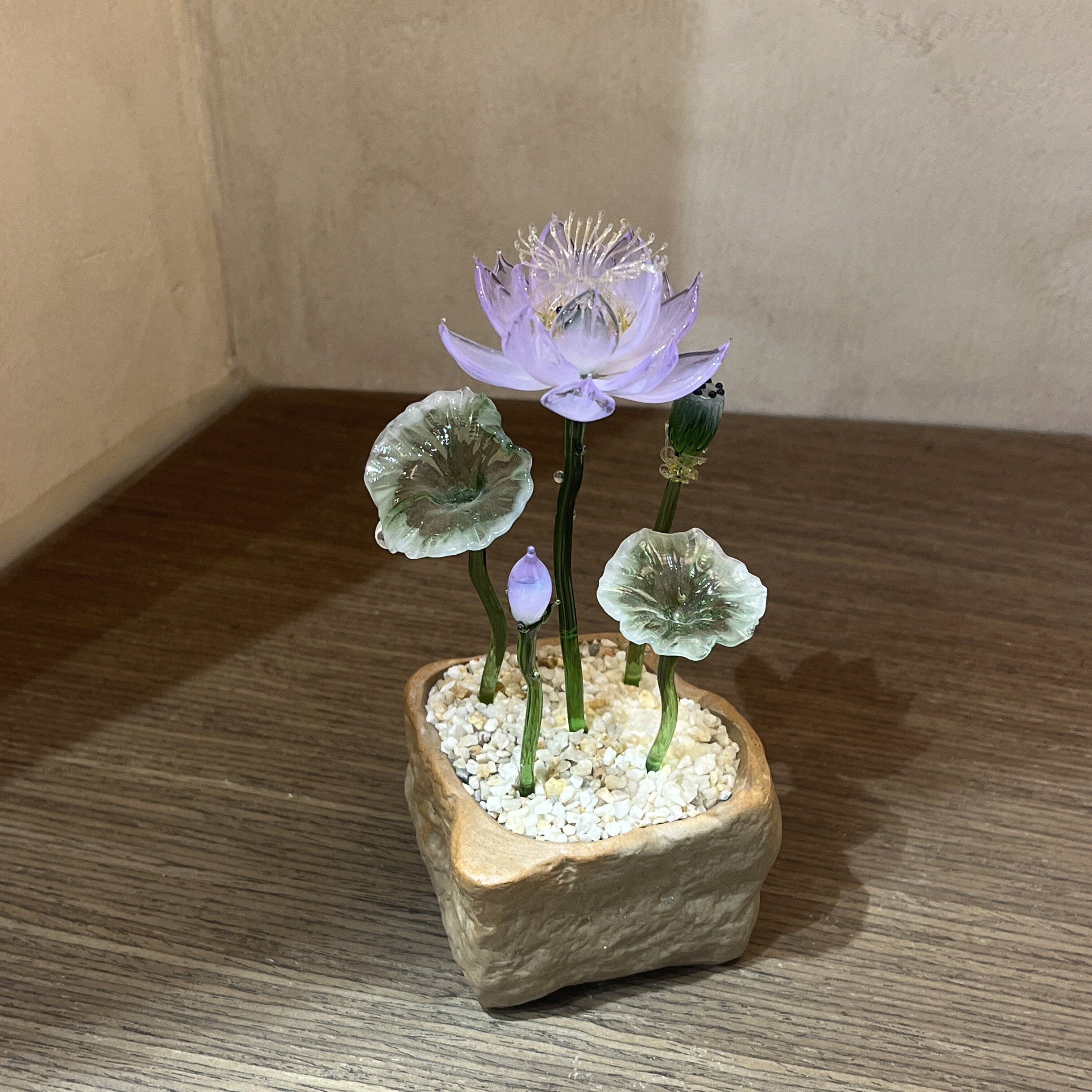 玻璃中的微缩自然：生态摆件的魅力