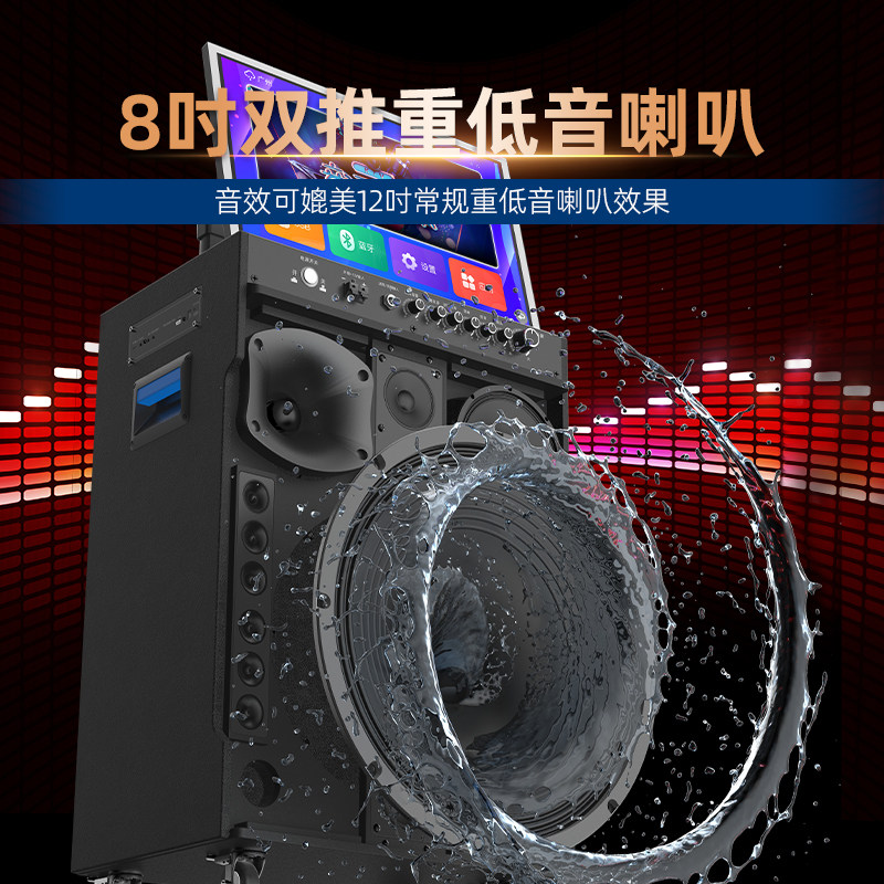 Philips Sd289S Home Outdoor Karaoke All-In-One Machine Ktv Audio Set for Singing Karaoke Speakers