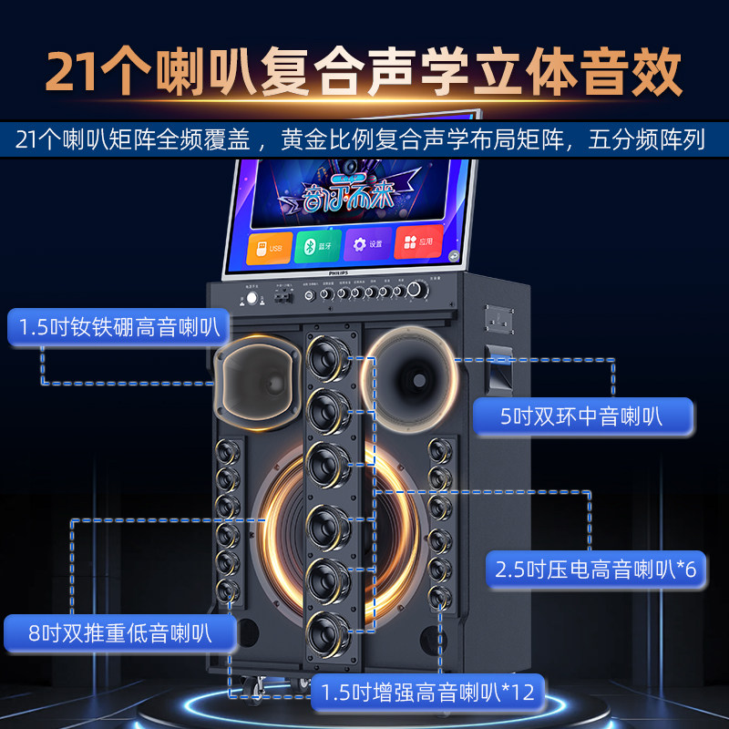 Philips Sd289S Home Outdoor Karaoke All-In-One Machine Ktv Audio Set for Singing Karaoke Speakers