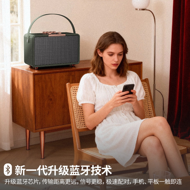 Philips Sd530 Bluetooth Speaker with Heavy Bass, Single Hifi Speaker with Built-In Karaoke Function