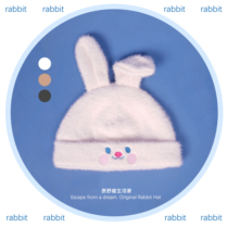 Original Wild Anecdote Original Cute Embroidery Plush Hat Knit Hat Autumn Winter Warming Ins 100 hitch