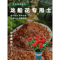 Dragon boat flower special soil home gardening planting soil flower cultivation universal nutrient soil easy rooting breathable essence