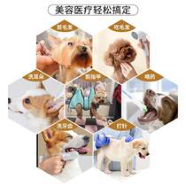 Pet grooming hammock cat and dog nail clipper holder Teddy hook type medicine feeding anti-scratch cat hammock
