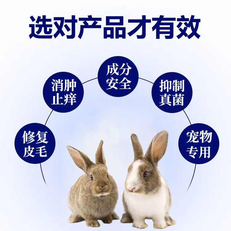 宠物兔脚部急救必备神器!兔宝脚痛不愁兔癣兔皮炎喷雾🌿🐾-猫皮肤病药品-淘宝好物网