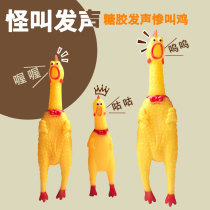 Dog toys making noises Teddy small and medium-sized dogs desperate chicken cooing chicken screaming chicken screaming chicken pet supplies wholesale