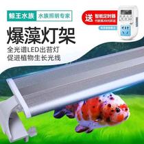 Explosive algae lamp stand mossed bracket lamp stand Lanshou goldfish special fish tank lamp led full spectrum super bright aquatic plant lamp