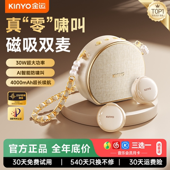 M20 Wireless Lavalier Microphone Amplifier for Teachers, Dual Microphone for Class, 30W High Volume, Jinyun