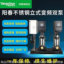 304 stainless steel vertical intelligent frequency conversion double pump multi-stage centrifugal pump water pipeline booster pump