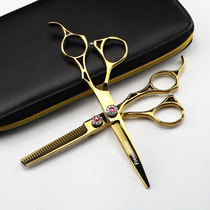 6 0 inch Freelander golden hollow handle hair scissors hair scissors flat scissors bangs scissors dental scissors