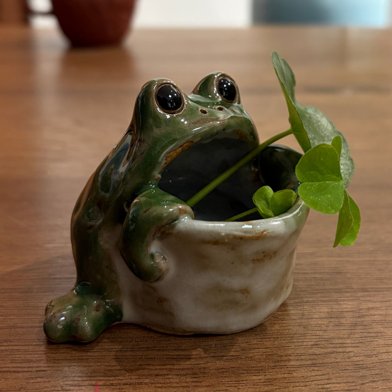 Cute Big-Mouthed Frog Ceramic Storage Box Desktop Decoration Ashtray Tea Pet Creative Home Decor Succulent Flower Pot